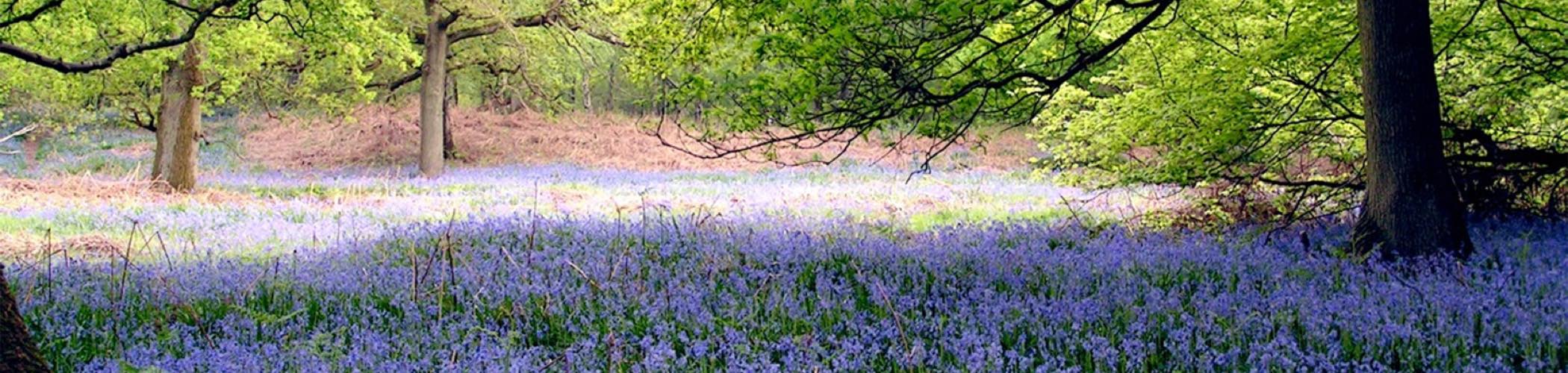 Worcestershire romantic holiday cottages and breaks