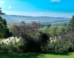 Cottage in the Garden, near Ashdown Forest