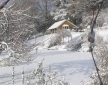 Cottage in the Garden, near Ashdown Forest