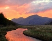 Cuil Moss, near Fort William