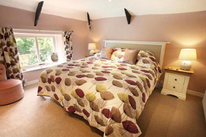 Dartmoor Luxury Holiday Cottage | Springfield Cottage