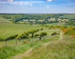 The Nest, Ashdown Forest