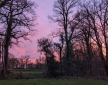 Old Rose Shepherd’s Hut Retreat, Blackdown Hills