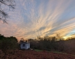 Old Rose Shepherd’s Hut Retreat, Blackdown Hills
