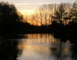 Egret at Woody Park, Cullompton