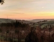 The Oystercatcher, near Totnes