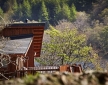 Golden Oak Hideaway, Nr Loch Lomond