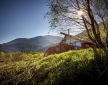 Golden Oak Hideaway, Nr Loch Lomond