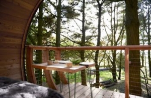 Devon Romantic Treehouse for couples | The Loft