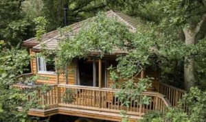 A romantic tree house for couples off the beaten track near Bewl Water, East Sussex Kent