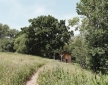 Hidey Hole Cabin, Sussex Kent borders
