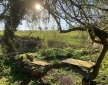 Hen House, near Ludlow