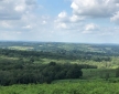 The Nest, Ashdown Forest