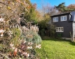 The Nest, Ashdown Forest