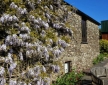 The Owlery at Dittiscombe