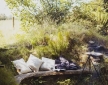 The Yurt Hideaway, near Carmarthen