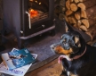 The Yurt Hideaway, near Carmarthen