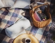 The Yurt Hideaway, near Carmarthen
