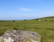 Baliemore Cottage, near Lochgilphead