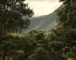 The Fold at Hallin Bank, Martindale
