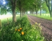 Tallavey, near Pitlochry
