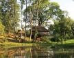 Eathelin Treehouse, nr Tenbury Wells