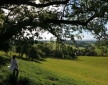 Upper Gelli Lodge, Welsh Borders