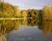 Kingfishers at Woody Park, Cullompton