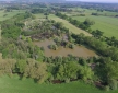 Kingfishers at Woody Park, Cullompton