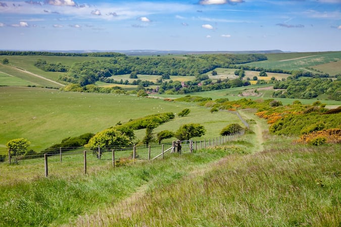 The Nest, Ashdown Forest