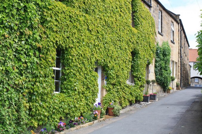 Lane End Cottage, Warkworth