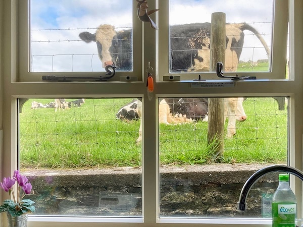 Spoutscroft Cottage, Yorkshire Dales
