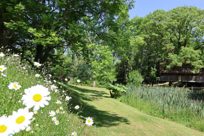 Eathelin Treehouse, nr Tenbury Wells