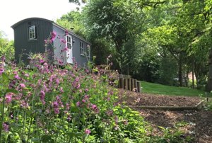 Shepherd's Hut near London | Shepherd's Hide Essex Coast